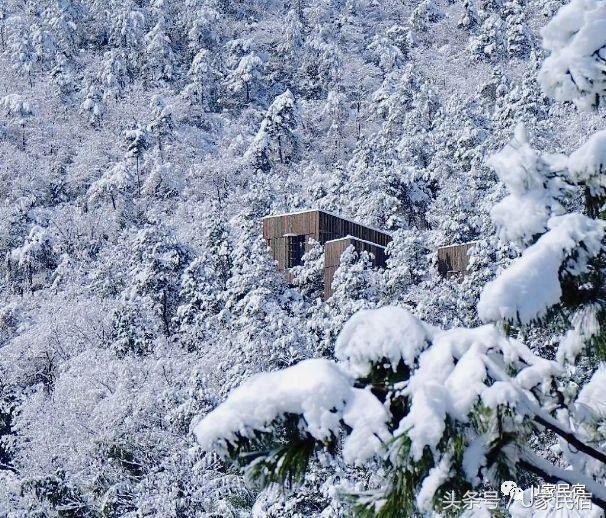 冬天就是要在隐居森林中竹海雪野里来一场温泉SPA